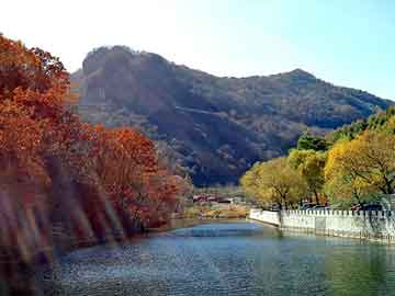 新澳天天开奖资料大全旅游团，二十三条